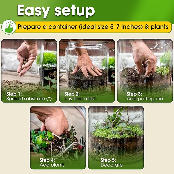 DUSPRO Recycle Terrarium Kit, Include Potting Soil, Pumice, Zeolite, Green Moss, Sphagnum Moss, Decorative Stone, Mesh, Tools, DIY Terrarium Kit for Kids, Air Plant, Succulent - Image 4