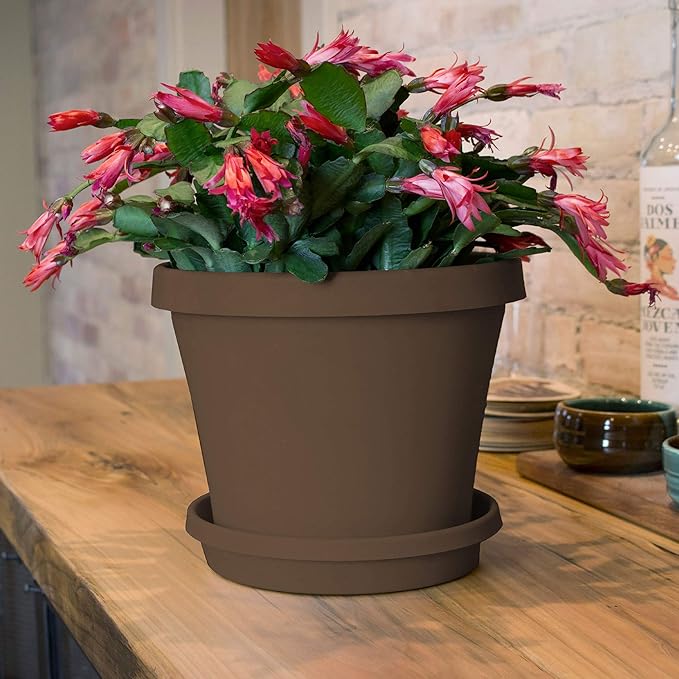 Bloem Terra Resin Saucer Tray: 6.5" Bottom Width - Chocolate Brown - Matte, Durable, Ribbed Bottom, Indoor and Outdoor, Fits 8" Terra Pots - Image 4
