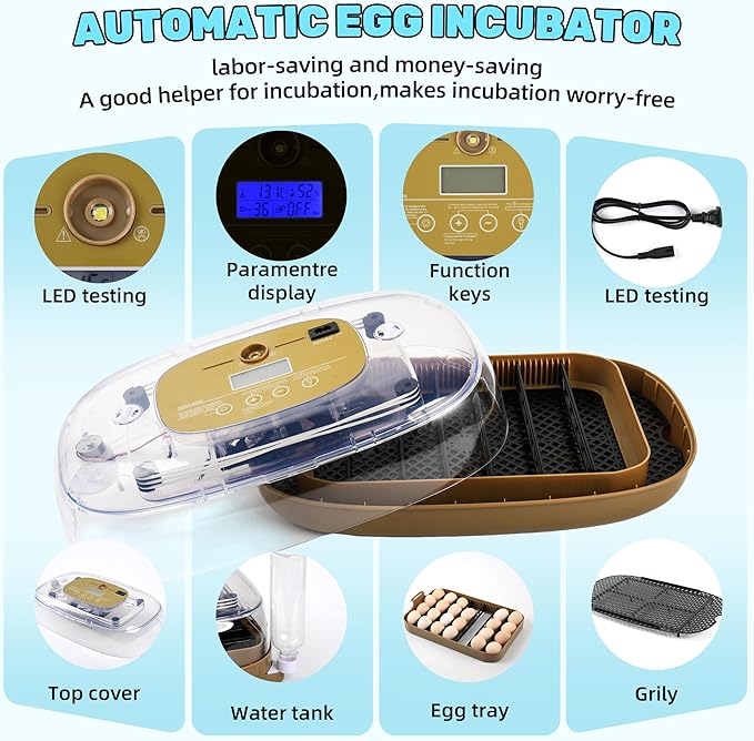 Incubators for Hatching Eggs,24 Egg Incubator with Automatic Egg Turning and Humidity Control,Egg Candler,Air Vent,360° Viewing for Chicken,Duck Eggs,Ideal for Farm,Classroom,Home Use - Image 3