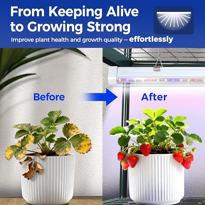 Indoor Greenhouse with Grow Light, Ohuhu 4-Tier Mini Green House for Winter - Full Spectrum Greenhouses for Seed Starting Small Portable Green Houses Waterproof PVC Cover & Adjustable Shelves - Image 4