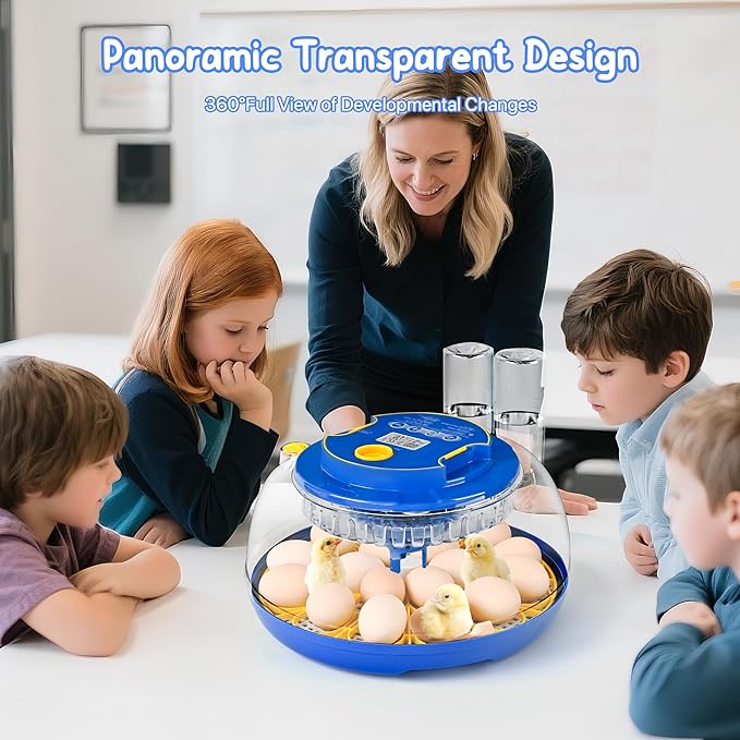 18-36 Eggs Incubators for Hatching Eggs with Automatic Egg Turning and Humidity Control, for Chicken, Duck, Quail, Goose, Parrot Eggs - 360° View for Farm, Classroom, Home Use - Image 5