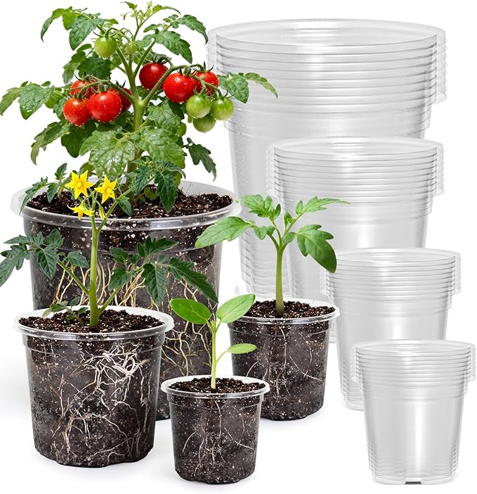MIXC Clear Nursery Pots with Drainage Holes, 7/5/4/3.5 Inch Reinforced Transparent Plastic Seed Starter Pots, for Indoor Outdoor Gardening Seedling Planter, 36 Pack by MIXC