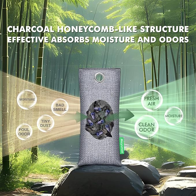Activated Charcoal Odor Absorber for Strong Odor, Natural Shoe Deodorizer. Sneaker Odor Eliminator, 2 Pack Bamboo Charcoal Air Purifying Bags, Odor Remover Moisture Absorbers for Shoes - Image 3