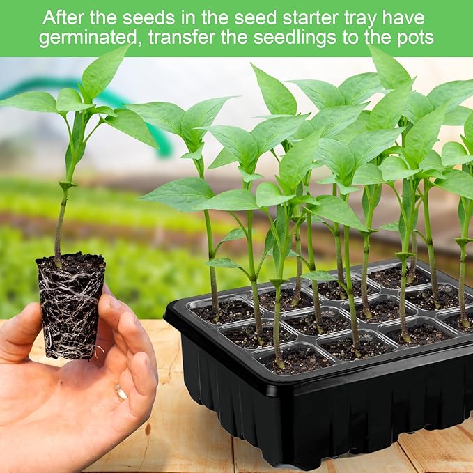 Lunies 6 Packs Seed Starter Trays with Grow Light, Seeding Starter Tray with Adjustable Humidity Dome, Base Indoor Greenhouse Germination Kit for Seed Growing Starting(12 Cells per Tray, Black) - Image 6