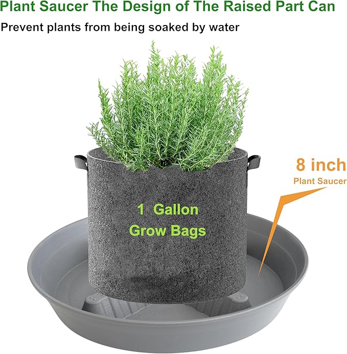 4 Pack Plant Saucer 8 inch, 10 12 14 17 inch, Plant Stand Plastic Plant Saucers for Indoors Outdoor, Heavy Duty Flower Planter Drip Trays for Pots, Pot Saucers for Plants, Grow Bags Saucers - Image 4