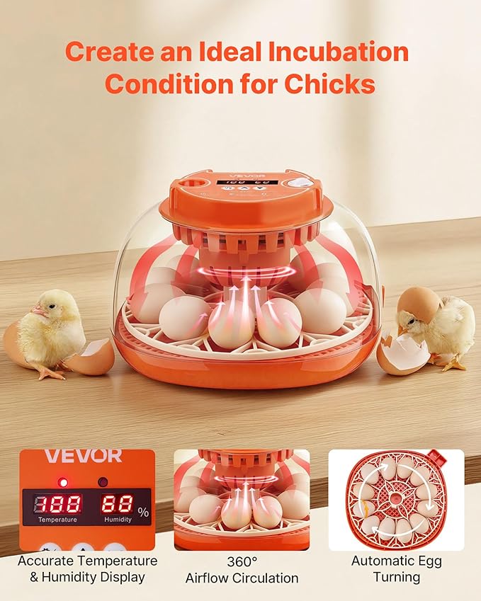 VEVOR 12 Egg Incubator, Automatic Egg Turner with LED Candler, Temperature & Humidity Control, 360° View Clear Window, Poultry Eggs Incubator for Home Farm, Hatching Chicks Ducks Goose Quail - Image 2
