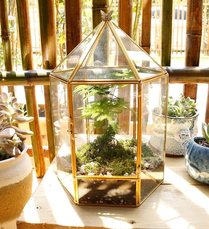 ELEGANTLIFE Glass Geometric Plant Terrarium,Succulent & Air Planter for Home Garden Office Decoration,No Plants(Gold Hexagonal) - Image 2