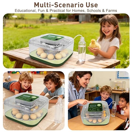 4th Gen – 12 Egg Fully Automatic Incubator, 2026 Upgraded Design, Intelligent Sensor-Based Humidity & Temp Control, Custom Hatch Days, Adjustable Auto Turnn with Auto-Stop, 360° View, Alarm, Candler - Image 8