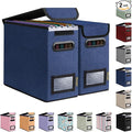 BALEINE File Organizer Box with Lid, Collapsible File Folder Organizer with Plastic Slide, Hanging File Folder Box for Office Document Storage (2 Pack, Blue, S) by BALEINE