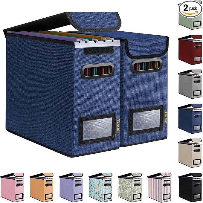 BALEINE File Organizer Box with Lid, Collapsible File Folder Organizer with Plastic Slide, Hanging File Folder Box for Office Document Storage (2 Pack, Blue, S) by BALEINE