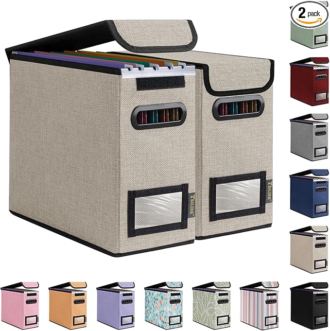 BALEINE File Organizer Box with Lid, Collapsible File Folder Organizer with Plastic Slide, Hanging File Folder Box for Office Document Storage (2 Pack, Beige, S) by BALEINE