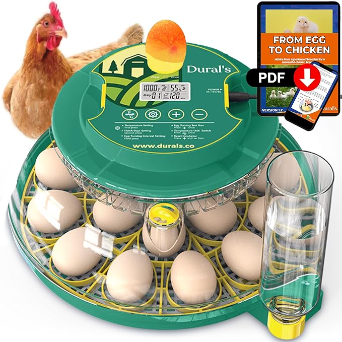 Dural's DX5® | Professional 18 Egg Incubator with Automatic Turning & Humidity Control | FCC Certified Egg Incubator | for Chicken, Quail, Duck Eggs | Precise Temperature | Easy to Clean (18 Eggs) by dural%27s