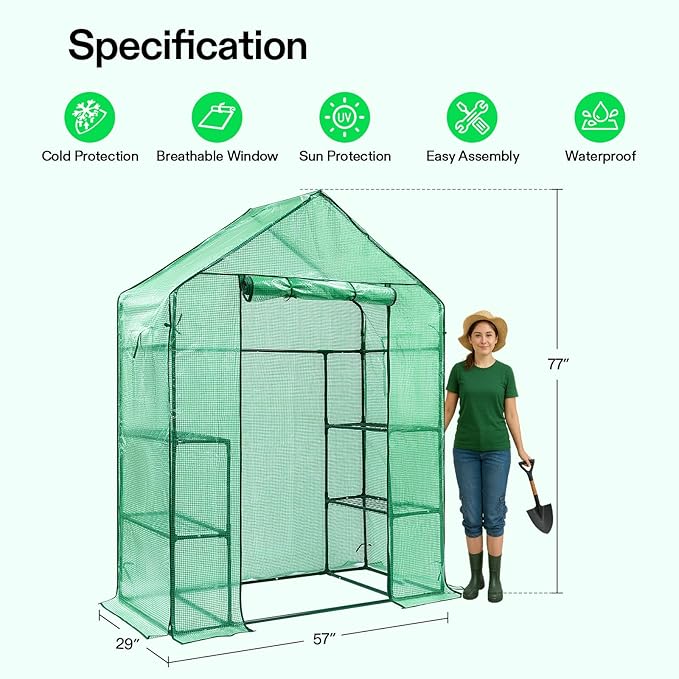 VIVOSUN 57 x 29 x 77-Inch Mini Walk-in Greenhouse with Windows, Shelves and Anchors, Plant Garden Hot House - Image 2