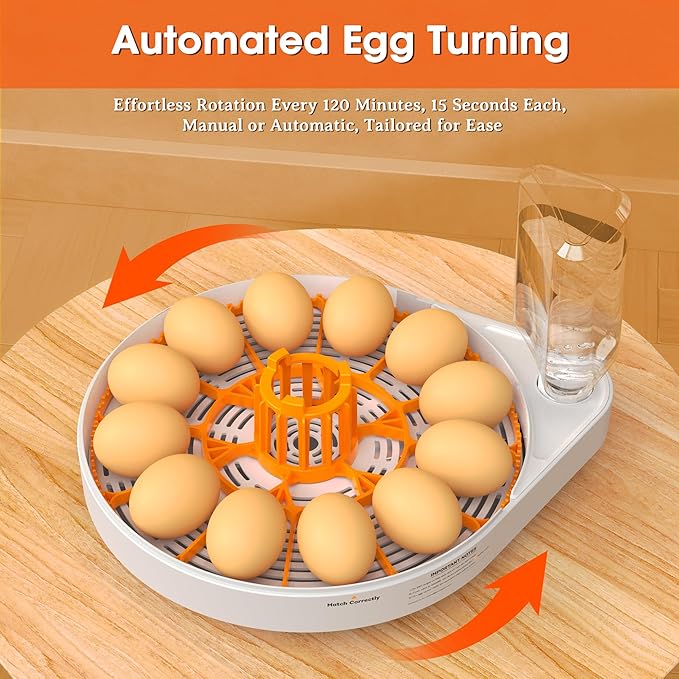 Incubators for Hatching Eggs, 12 Eggs Smart Incubator with Automatic Egg Turning and Humidity Control, Automatic Water Adding for Hatching Chicken, Duck,Quail Goose [2025 Upgrade] - Image 6
