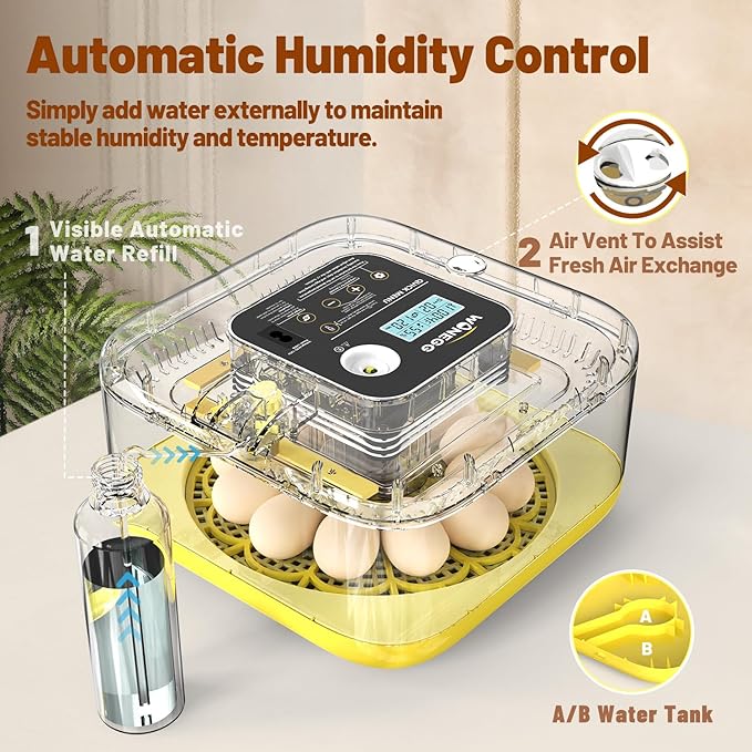 Incubator for Hatching Eggs, 12 Eggs Incubator with Automatic Egg Turning, Temperature & Humidity Control, LED Egg Candler, Incubation Days Display, for Chicken, Duck, Quail, Parrot Bird Eggs - Image 3