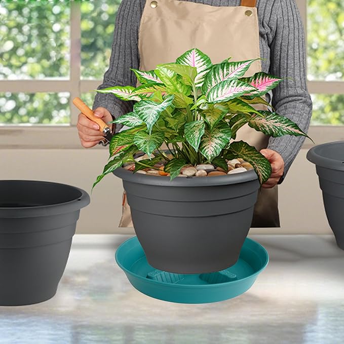 4 Pack Plant Saucer 10 inch, 8 12 14 17 inch, Plant Stand Plastic Plant Saucers for Indoors Outdoor, Heavy Duty Flower Plant Risers for Inside Pots, Pot Saucers for Plants, Grow Bags Saucers - Image 5
