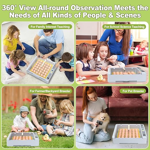 36 Eggs Incubator for Hatching Chicken/Goose/Quail/Duck/Turkey Eggs, 360° View Incubator with Automatic Egg Turning/Humidity Control/Low Humidity Alarm/Adjustable Tray, for Beginner/Farm/Teaching/Home - Image 7