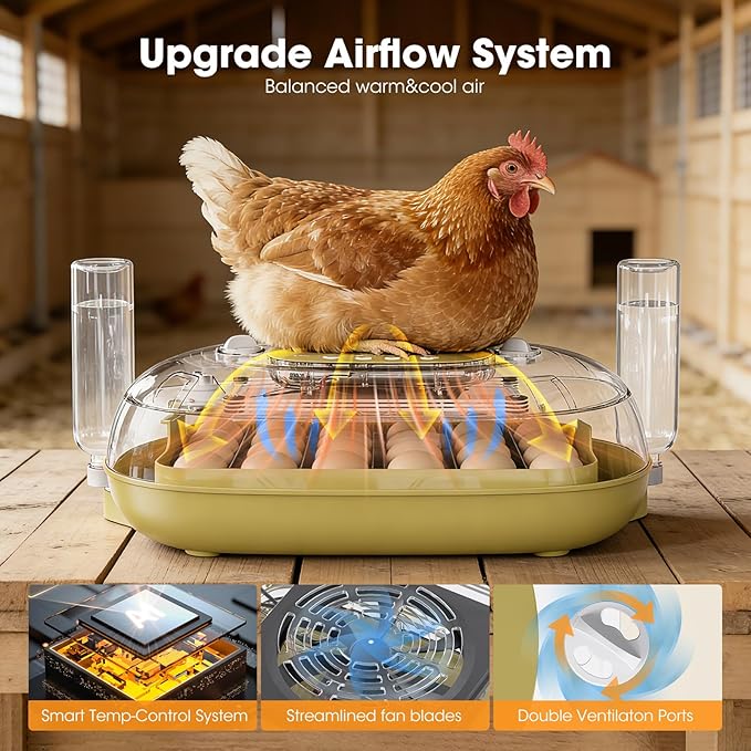 24 Egg Incubator for Hatching Eggs, Automatic Egg Turning, Temperature & Humidity Control, Egg Candler, for Hatching Chicken, Duck, Quail, Goose - Ideal for Farm, Classroom, Home Use - Image 3