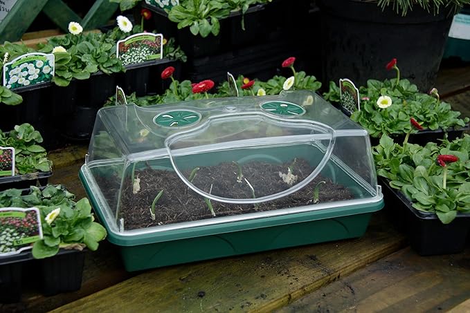 EarlyGrow Medium Seed and Herb Domed Propagator with Vented Side Height Extension and Security Clip Set,Green - Image 9