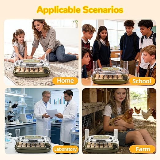 24 Egg Incubator with Temperature Control & Humidity Monitoring, Automatic Egg Turner, Built-in Egg Candler, 360° Clear View for Hatching Chicken, Duck, Quail Eggs - Ideal for Home, Classroom, Farm - Image 7