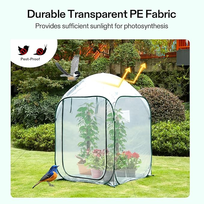 VIVOSUN 39x39x63-Inch Portable Walk-in Greenhouse, with PVC Cover & Detachable Base, Instant Pop-up and Folding, Mini Greenhouse with Roll-Up Door & Mesh Window for Indoor Outdoor, Wind Ropes Included - Image 3