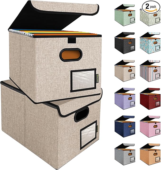 BALEINE File Organizer Box with Lid, Collapsible File Folder Organizer with Plastic Slide, Hanging File Folder Box for Office Document Storage (2 Pack, Beige) by BALEINE