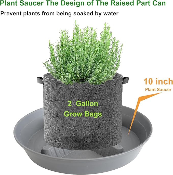 4 Pack Plant Saucer 10 inch, 8 12 14 17 inch, Plant Stand Plastic Plant Saucers for Indoors Outdoor, Heavy Duty Flower Plant Risers for Inside Pots, Pot Saucers for Plants, Grow Bags Saucers - Image 2