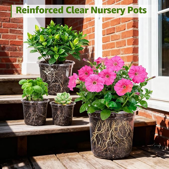 MIXC Clear Nursery Pots with Drainage Holes, 7/5/4 Inch Reinforced Transparent Plastic Seed Starter Pots, for Indoor Outdoor Gardening Seedling Planter, 30 Pack - Image 6
