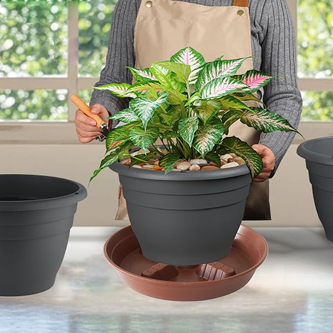 4 Pack Plant Saucer 8 inch, 10 12 14 17 inch, Plant Stand Plastic Plant Saucers for Indoors Outdoor, Heavy Duty Flower Planter Drip Trays for Pots, Pot Saucers for Plants, Grow Bags Saucers - Image 5