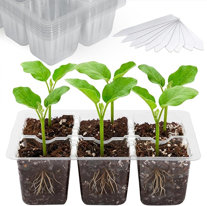 Bonviee 10 Packs Seed Starter Tray with Drainage Holes, Reusable & Durable, Clear for Root Monitoring, Easy to Repotted Without Root Damage, 6 Cells per Tray by BonvieeDirect