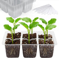 Bonviee 10 Packs Seed Starter Tray with Drainage Holes, Reusable & Durable, Clear for Root Monitoring, Easy to Repotted Without Root Damage, 6 Cells per Tray by BonvieeDirect