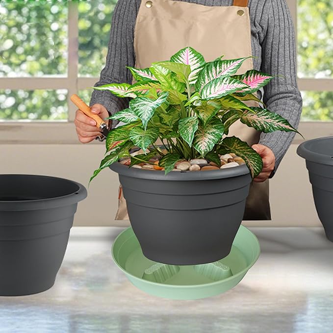 4 Pack Plant Saucer 10 inch, 8 12 14 17 inch, Plant Stand Plastic Plant Saucers for Indoors Outdoor, Heavy Duty Flower Plant Risers for Inside Pots, Pot Saucers for Plants, Grow Bags Saucers - Image 5