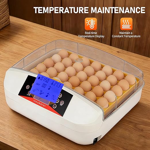 Winado Incubators for Hatching Eggs, 41 Egg Incubator with Automatic Egg Turning & Temperature Control, Egg Candler, and Day Counter for Chicken, Duck, and Quail Eggs Hatching - Image 3
