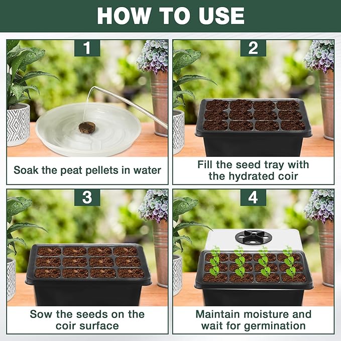 Zeedix 2 Set Seed Starter Tray Kits with Soil, 2 Pack Seed Trays with 30 Pack Coco Coir Pellets, Adjustable Humidity Germination Tray with Dome Lids for Indoor Plants, Greenhouse for Vegetables Garden - Image 5