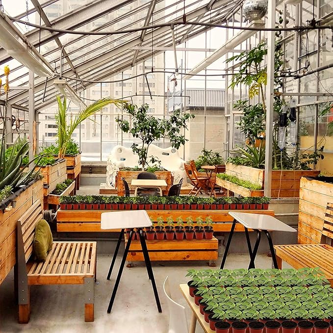 MIXC Plant Nursery Pots with Humidity Dome 4" Soft Transparent Plastic Gardening Pot Planting Containers Cups Planter Small Starter Seed Starting Trays for Seedling with 10pcs Plant Labels，30 Sets - Image 7
