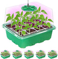 Bonviee 5 Packs Seed Starter Tray with Plant Light, Elevated Seedling Starter Trays Kits with Adjustable Humidity Domes and Clear Cell Tray, 12 Full Spectrum led lamp Beads for Plants Indoor-Green by BonvieeDirect