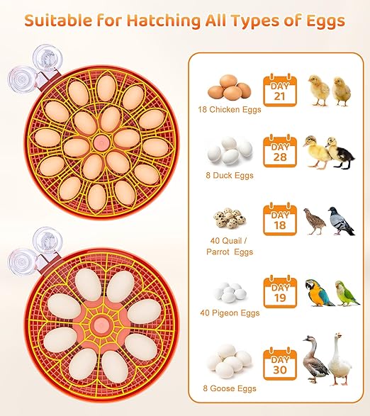 18 Egg Incubator with Automatic Egg Turning, Digital Temperature Humidity Control, Incubator for Hatching Eggs, 360° View Candler, Chicken, Quail, Duck, Goose, Turkey for Home & Farm - Image 7