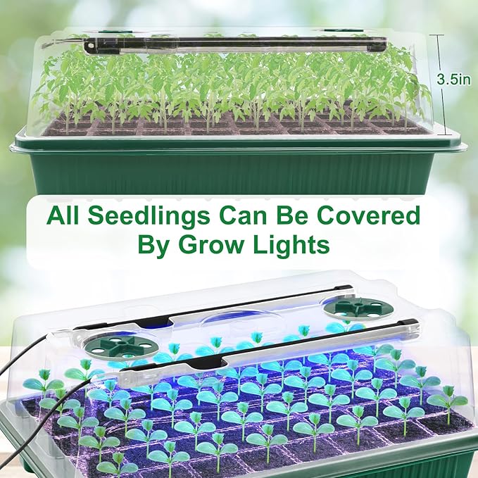 2 Packs Starter Tray with Grow Light, 80 Cells Seed Starter Kits with Humidity Dome and Base Plant Germination Seedling Starter Kit with Smart Timer for Indoor Greenhouse Wheatgrass Hydroponic - Image 5