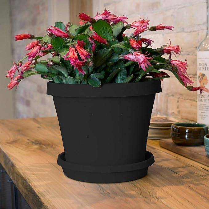 Bloem Terra Resin Saucer Tray: 9.25" Bottom Width - Black - Matte, Durable, Ribbed Bottom, Indoor and Outdoor, Fits 12" Terra Pots - Image 4