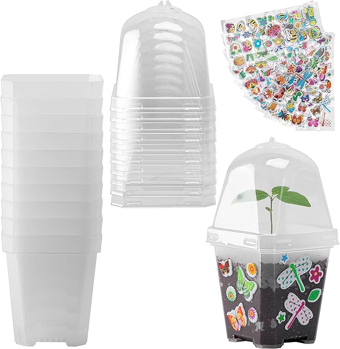 EBaokuup 10 Pack Clear Plant Nursery Pots with Humidity Dome-3" Reusable Plastic Gardening Pot with Printed Labels-Small Seed Starting Pots for Seedlings Vegetables Succulents Cuttings by EBaokuup