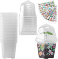 EBaokuup 10 Pack Clear Plant Nursery Pots with Humidity Dome-3" Reusable Plastic Gardening Pot with Printed Labels-Small Seed Starting Pots for Seedlings Vegetables Succulents Cuttings by EBaokuup