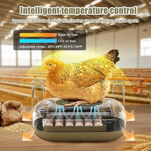 XOTTI Incubator for Hatching Eggs, 24 Egg Incubator with Precise Temperature Control, Auto Egg Turner, 360° Clear View, LED Candler, Alarm for Chicken Duck Quail Goose for Home School Farm Lab - Image 3