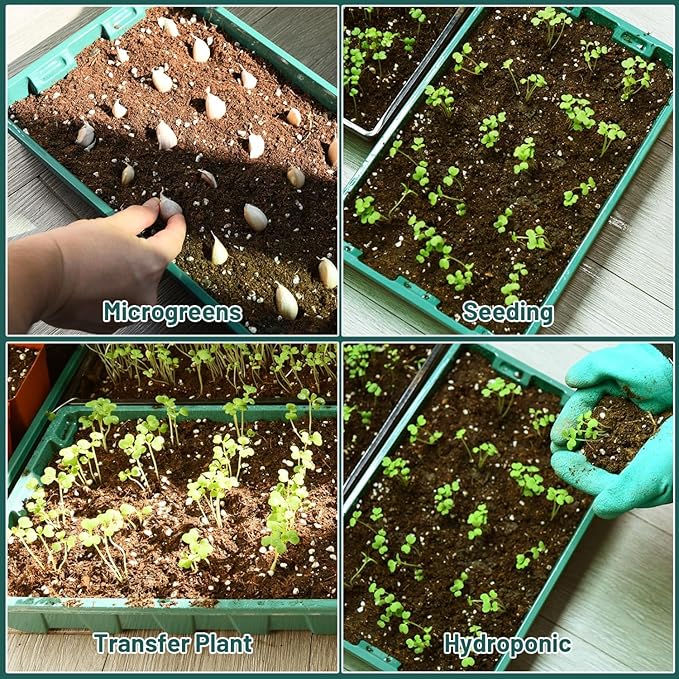 YoleShy 5 Packs Seed Starter Tray with Dome Reusable Plastic Plant Growing Trays with Humidity Domes Lids Thickened Sturdy for Seed Starting Germination Growing Seedling Propagation,14.5"x9" - Image 4