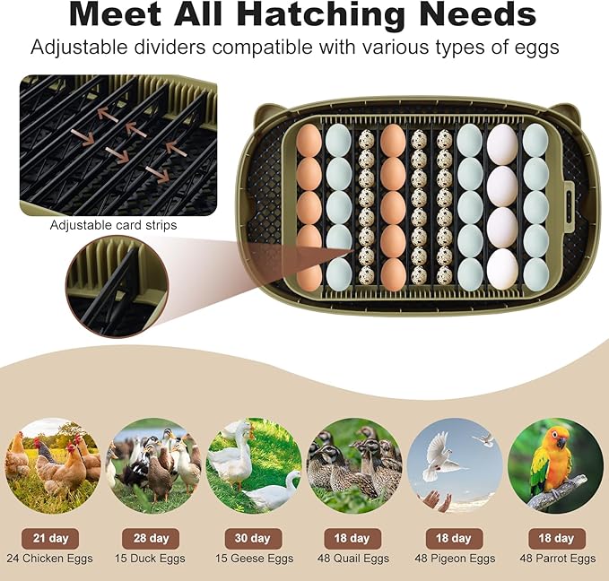 Incubators for Hatching Eggs,Smart 24 Egg Incubator with Automatic Egg Turning and Humidity Control,High Hatch Rate Incubator for Chicken Duck Quail Goose,Home Classroom and Farm (Brown) - Image 6