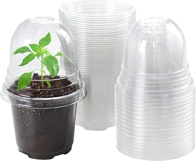 30 Packs 4 Inch Reinforced Clear Nursery Pots with Humidity Dome, Transparent Plastic Plant Pot Seedling Planter with Drainage Holes for Vegetable Propagation, Root Cutting, Seed Starting by Bluepro