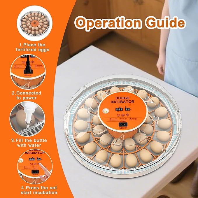 30 Egg Incubator with Automatic Egg Turning and Humidity Control,360 Degree View with Clear Window, Incubators for Hatching Eggs, Chicken, Ducks, Goose, Pigeon, Quail, Parrot - Image 6