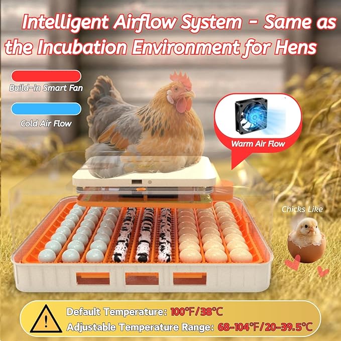 Egg Incubator for Hatching 56-154 Chicken/Quail/Turkey Eggs, 360° View Poultry Incubators with Automatic Egg Turning/Humidity Control&Alarm/Auto Water Adding/Adjustable Tray, for Beginner/Farm/Home - Image 6