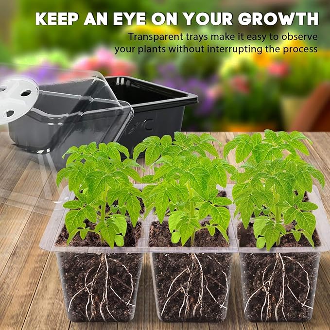MIXC 10 Packs Seed Starter Tray Seed Starter Kit with Humidity Dome (60 Cells Total Tray) Seed Starting Trays Plant Starter Kit and Base Mini Greenhouse Germination Kit - Image 3