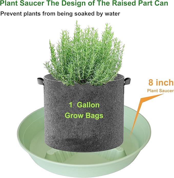 4 Pack Plant Saucer 8 inch, 10 12 14 17 inch, Plant Stand Plastic Plant Saucers for Indoors Outdoor, Heavy Duty Flower Planter Drip Trays for Pots, Pot Saucers for Plants, Grow Bags Saucers - Image 3