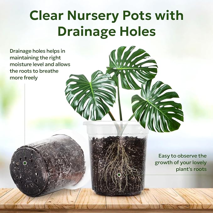30 Packs 1 Gallon Reinforced Clear Nursery Pots with Drainage Holes, 7 Inch Transparent Plastic Plant Pot Seedling Planter for Vegetable Propagation, Root Cutting, Seed Starting - Image 3